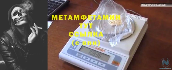 мяу мяу мука Надым